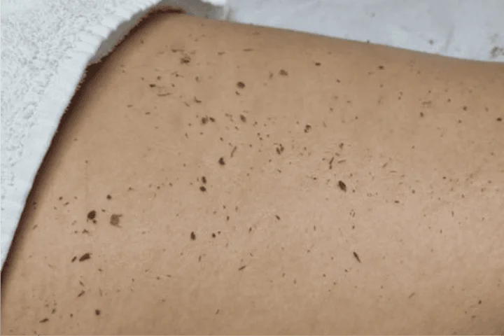 veronica_carrossel_8